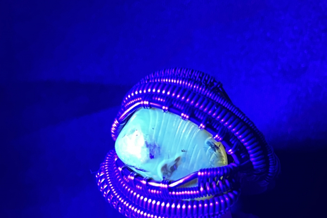 Dinosaur Bone Sterling Silver Ring Size 10.5-11